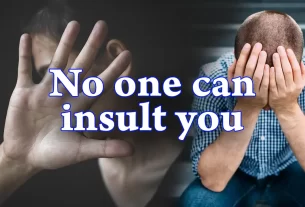 No one can insult you