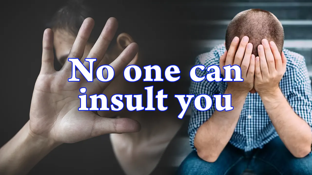 No one can insult you